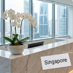 Viagra generico disponibile nelle cliniche di Singapore.